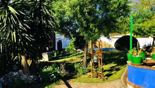 Casa-Ponderosa - Garten